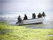 Bóng đá anh, ngoại hạng anh, lịch thi đấu euro 2012, Cướp biển Somalia tăng cường hoạt động 